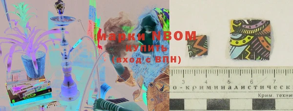 прущие грибы Абаза
