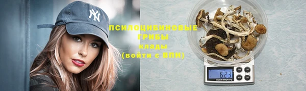 тгк Алексеевка