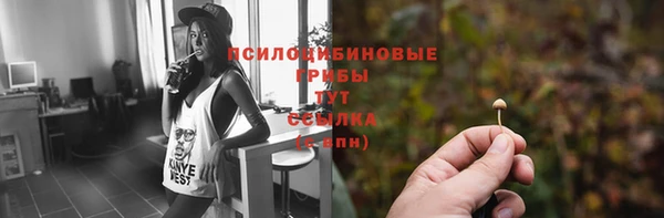 прущие грибы Абаза