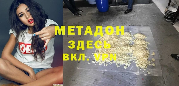 прущие грибы Абаза