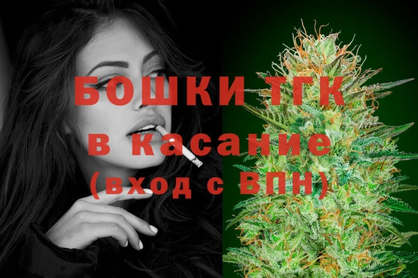 прущие грибы Абаза